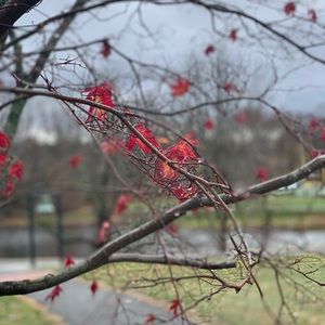 Meet your Posher, Nikisha